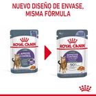 Royal Canin Nutrition Appetite Control Care gelatina para gatos, , large image number null